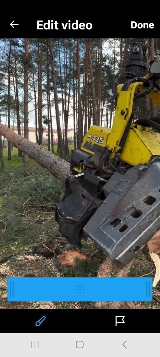 “जब पश्चिम कह रहा था,
‘पौधा निर्जीव है’,  
तब कोलकाता के उस महान् पुत्र ने क्रेस्कोग्राफ लेकर खड़े हुए और बोले:
"एषः वृक्षः जीवति, एषः वेदति, एषः स्मरति च।"  
(यह वृक्ष जीवित है, यह महसूस करता है, यह स्मरण भी रखता है।)
हर पत्ती में एक सूक्ष्म हृदय धड़क उठा, और 1901 में पूरी