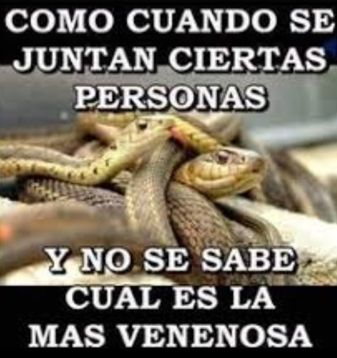 <a href="/PRI_Nacional/">PRI</a> <a href="/bismarck_ir/">Bismarck Izquierdo</a> Uyyyy, abarrotado de gente no había ni por donde pasar, no había un solo espacio.
Les faltó el grupo de choque, solo los hubieran vestido decentes y ya daban el gatazo.
Como cuantas ratas hay en ese espacio!?.