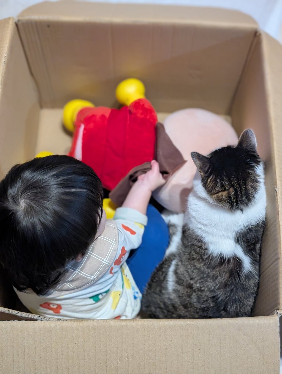 和彩彩きーこ@12/21西2W03 (@wasaisai) / Posts / X