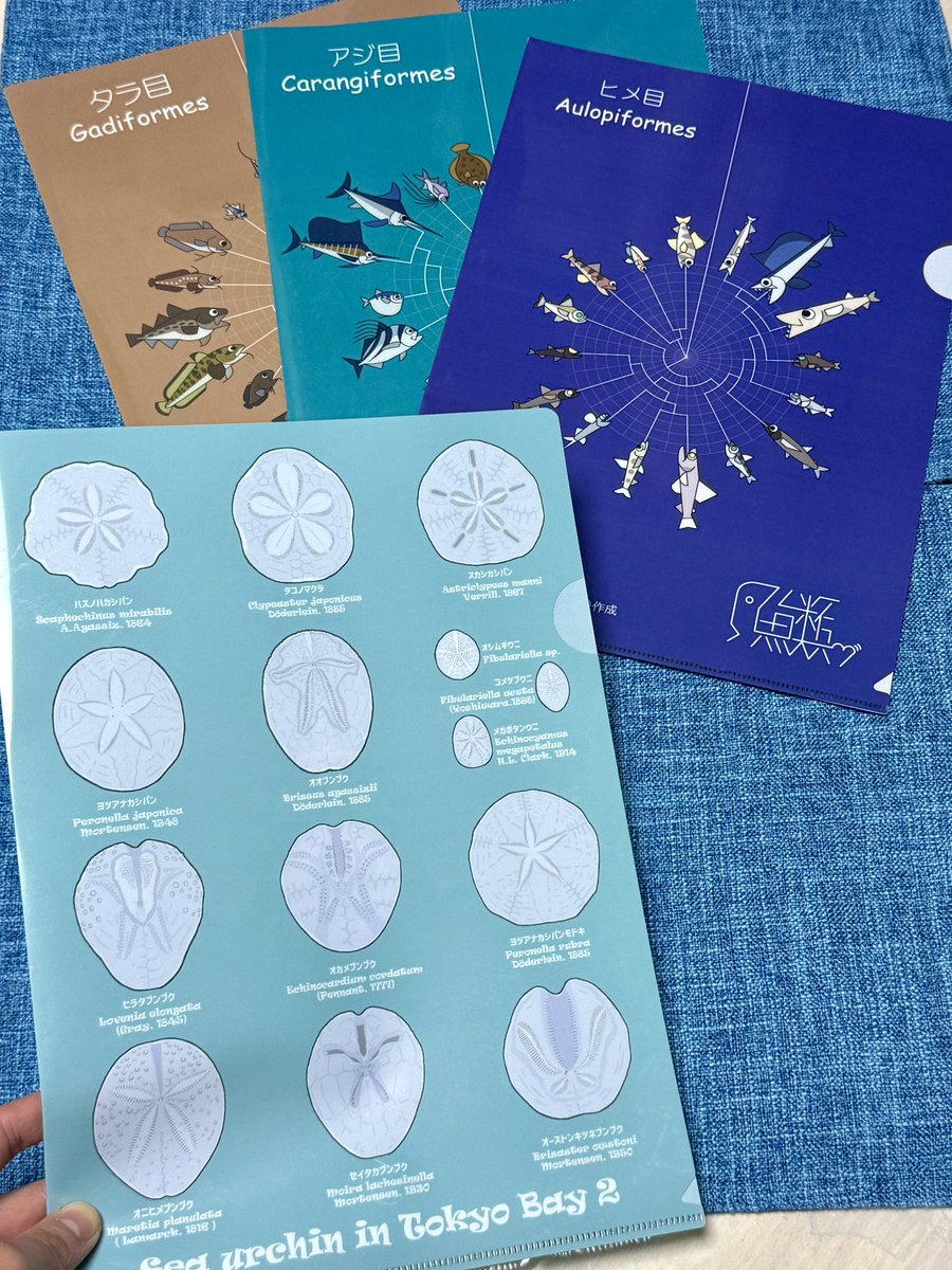 でんか (@K_theHermit) / Posts / X