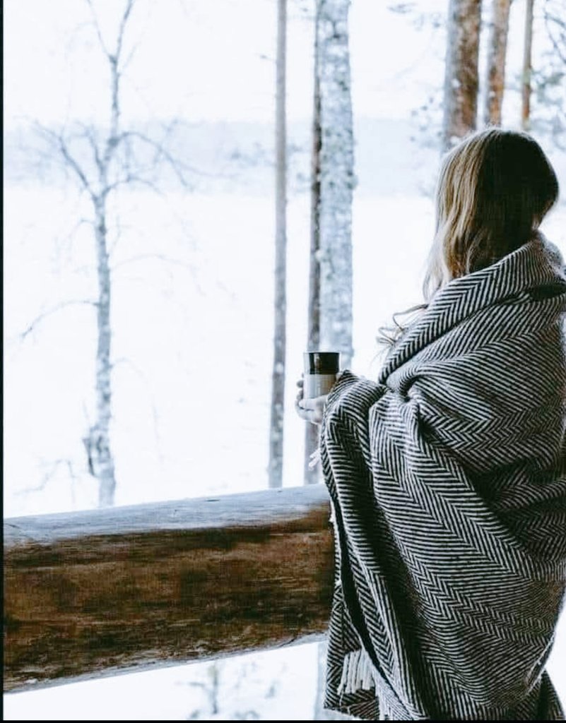 Introvert9sb's tweet image. موسم سرما ، شام کا وقت، تنہائی ،بارش ،چائے، میں، اور دسمبر کا انتظار !!!🔥🥀
Good evening