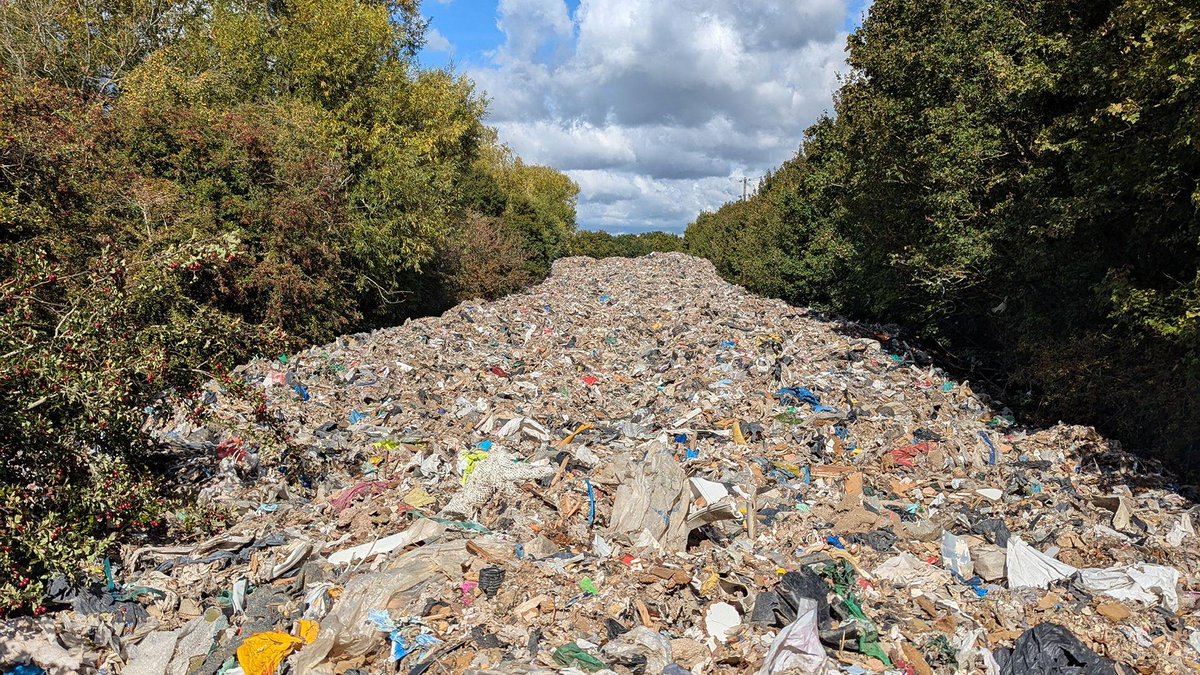 HieronymusScott's tweet image. We are starting to see this phenomenon in areas of England that have been recently enriched with diverse cultures from the global majority. The enriching of this river in Oxfordshire is an obvious case, which has been in the news in recent weeks. The river is incredibly vibrant…