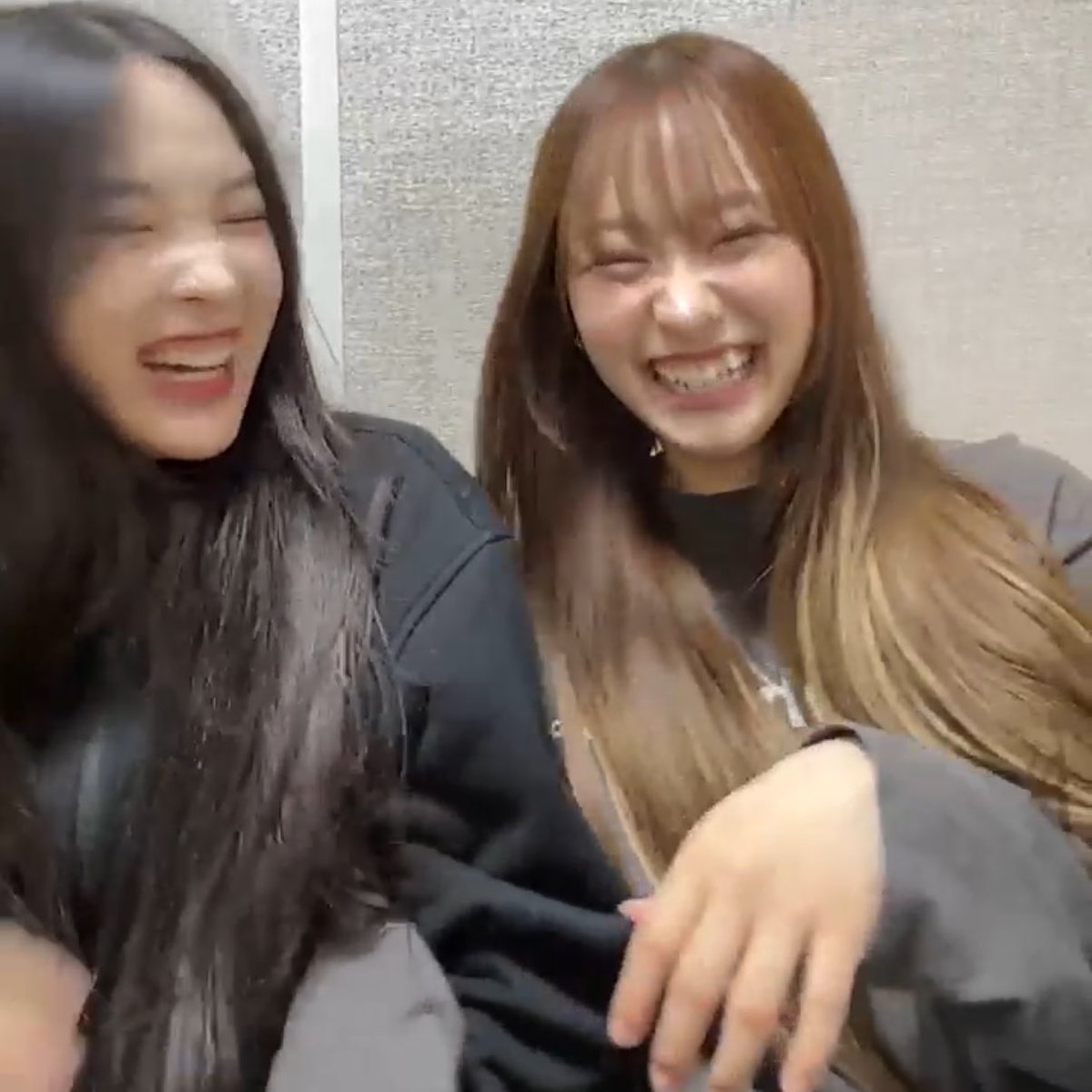 ♡251130 버블 라방🐶💘 初バブルラバンありがとう🫶🏻⭐ はなちゃんの