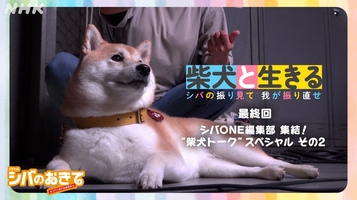 ドラマ10【#シバのおきて ～われら犬バカ編集部～】
最終回は12/2(火)夜10時放送！

🐾関連番組🐾
【柴犬と生きる〜シバの振り見て、我が振り直せ〜最終回】
今回も！シバONE編集部 集結！
”柴犬トーク”スペシャル その2

シバ犬まみれの５分間！HPで公開中だワン🐶
nhk.jp/g/ts/E4LJK16GL…