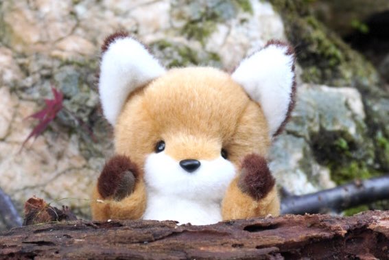 はす (@hasunokuma) / Posts / X