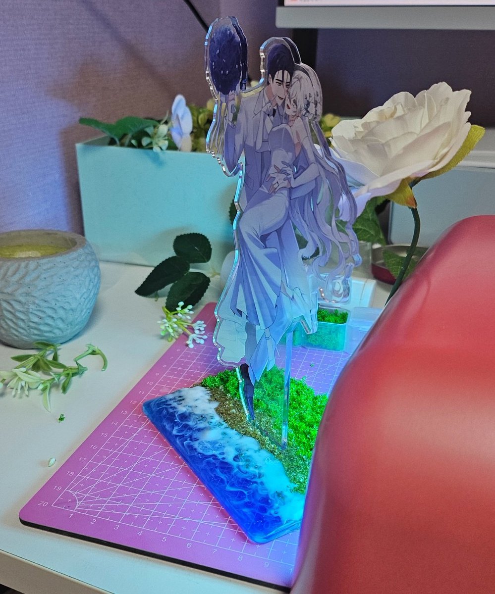 쨔무 (⭕) tweet media