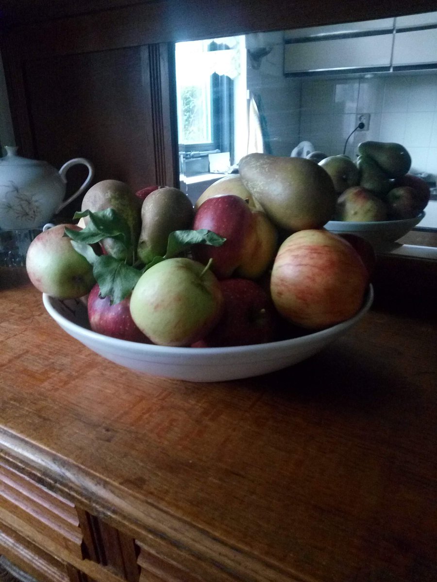 VenemaWil's tweet image. #AlphabetChallenge 
#WeekVforVowels 
A for Apples from our garden.