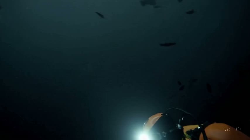 HotChixTweet's tweet image. Sa photo apporte un moment de calme et de beaute dans le chaos en ligne.