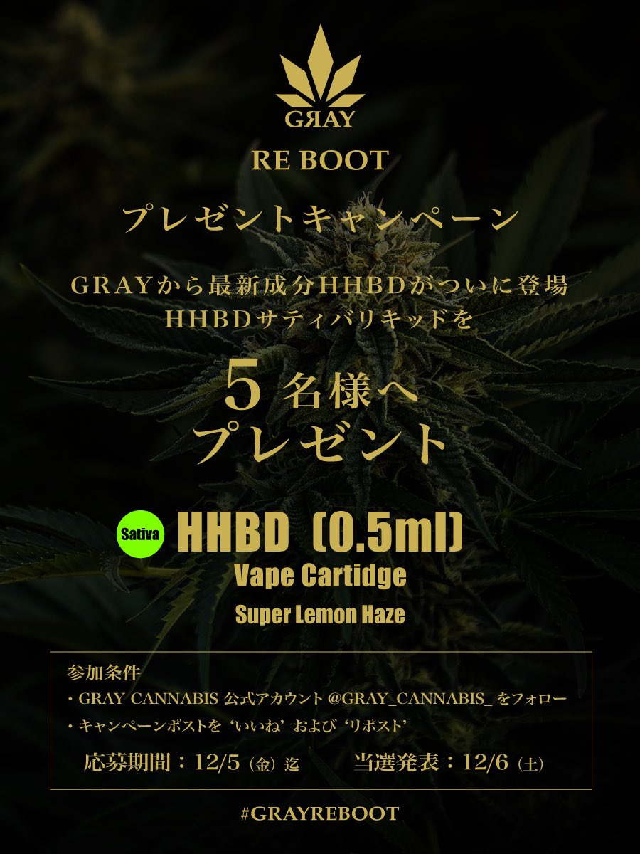 Reiz (@l2e1z) / Posts / X