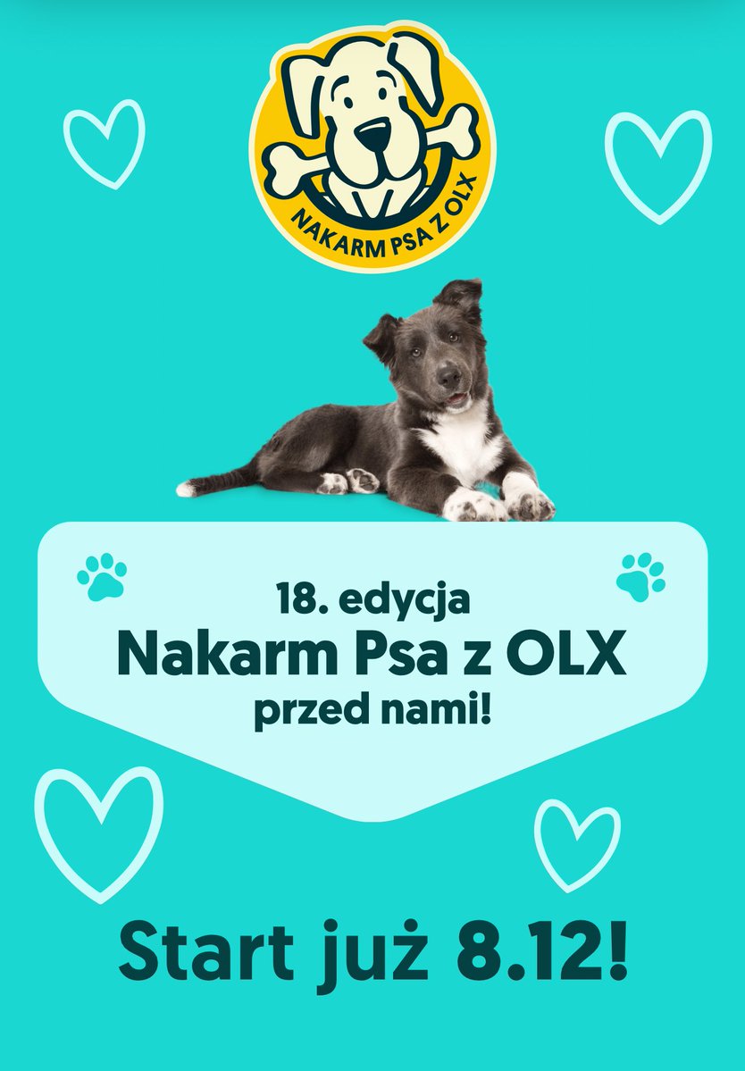 Właśnie przeszło mi przez myśl, że ciekawe kiedy w tym roku będzie następna edycja Nakarm Psa i będzie ona od 8.12!!