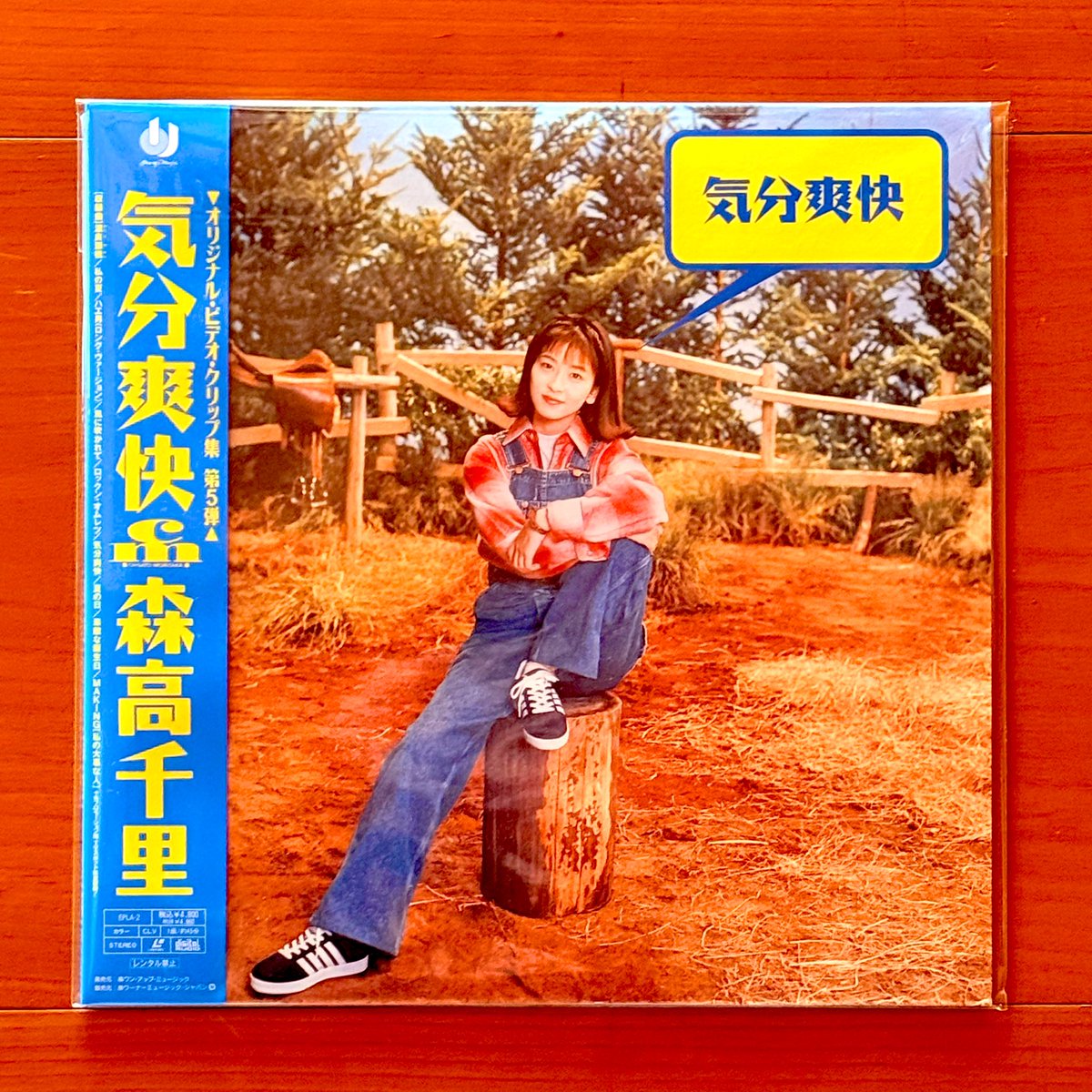 森高千里 気分爽快 店頭用POP B195 ㊗️ 発売31周年！ 森高千里「気分爽快」 (1994年1月31日) トッコロ