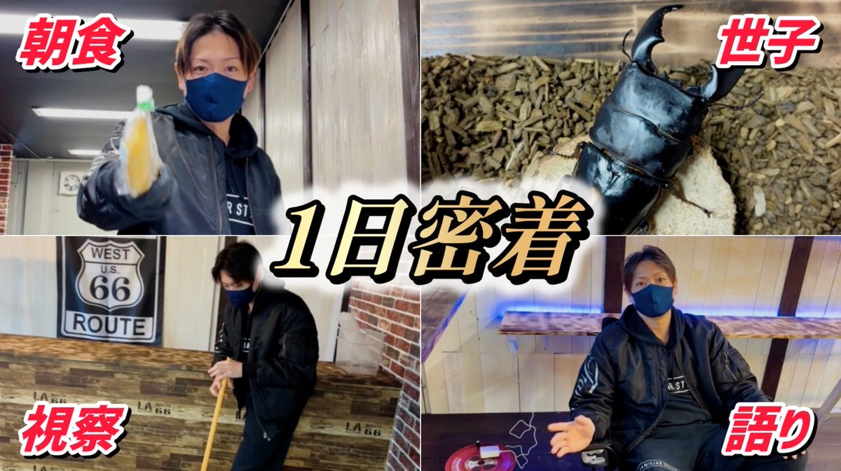 たぶんシゲ (@_Shige_Vicious) / Posts and Replies / X