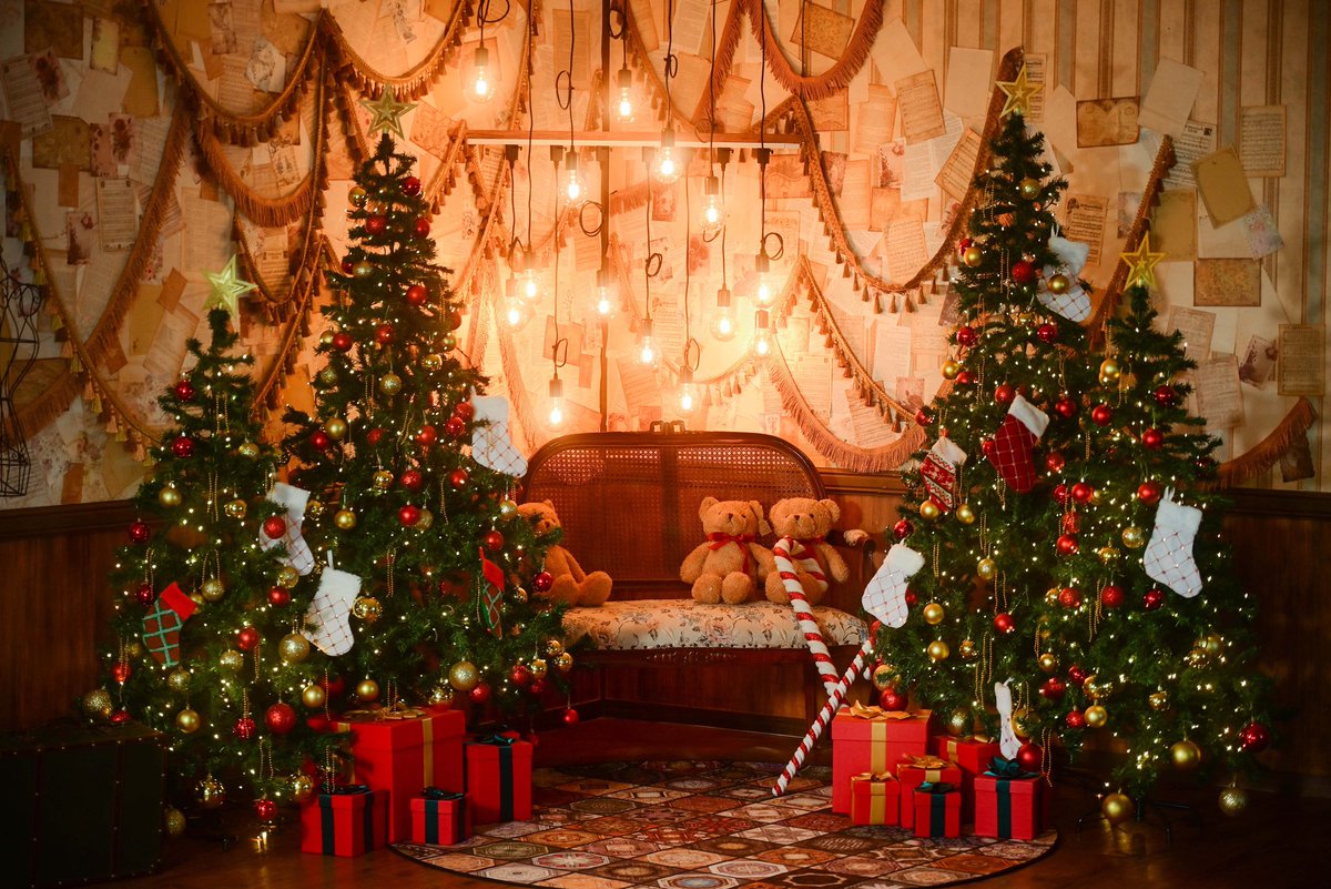 프론테라 스튜디오 tweet media