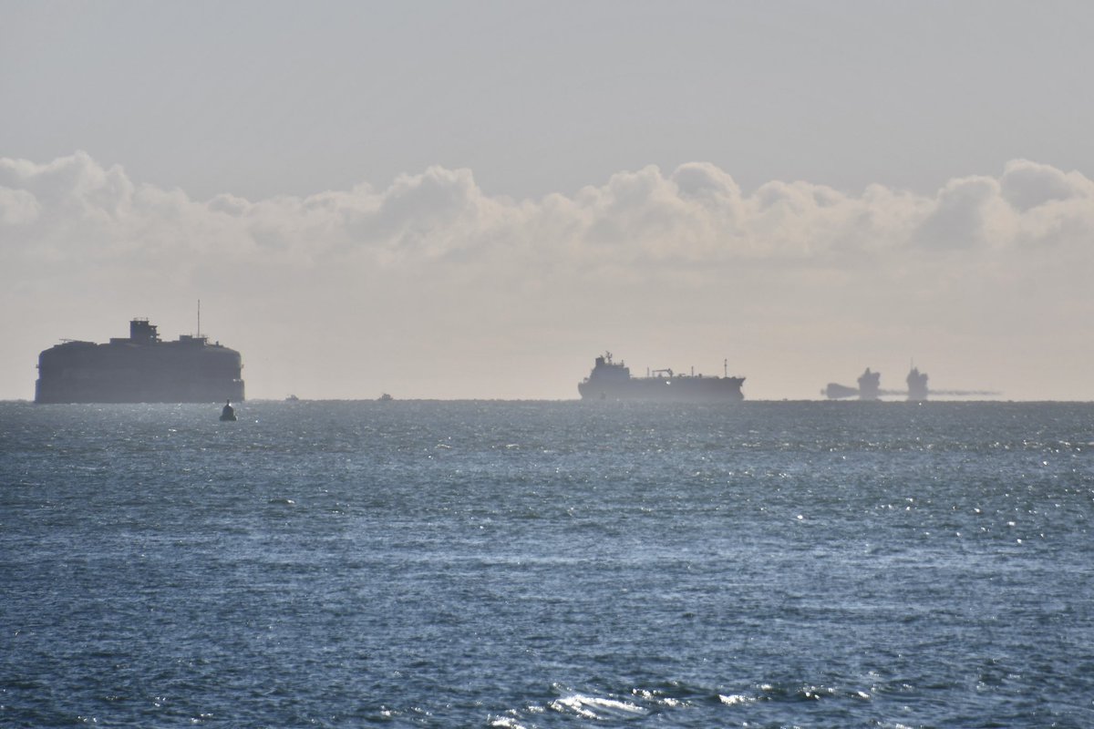 Amy Savage tweet media