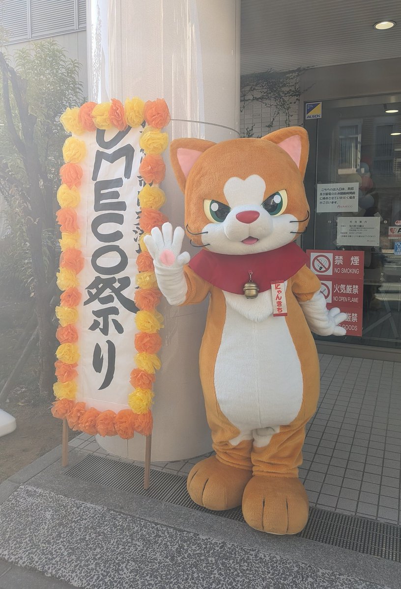 にゃん吉【公式】Nyankichi (@cat_nyankichi) / Posts / X