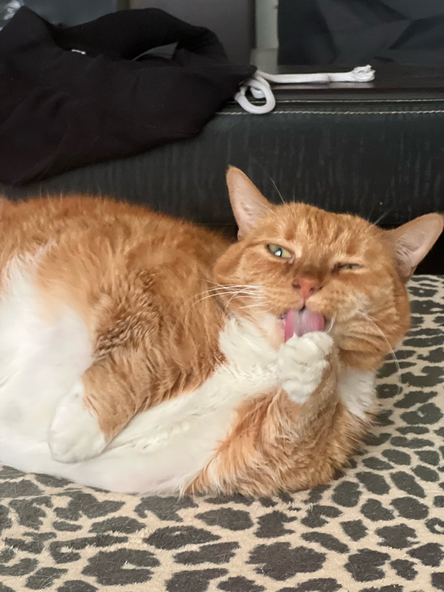 СЕГОДНЯ МАРСИ 11 ЛЕТ!

С днём варенья, булка-королева, спасибо, что ты со мной ❤️
Не спасибо за пожирание скотча и крики в ухо по утрам