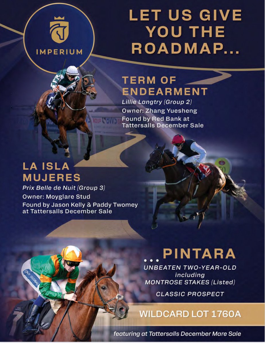 theTDN's tweet photo. 🛣️ Let @ImperiumSales give you the roadmap 

PINTARA unbeaten Two-Year-Old
including MONTROSE STAKES (Listed)
Classic Prospect

WILDCARD LOT 1760A featuring @Tattersalls1766 December Mare Sale https://t.co/X67pf4FVRc