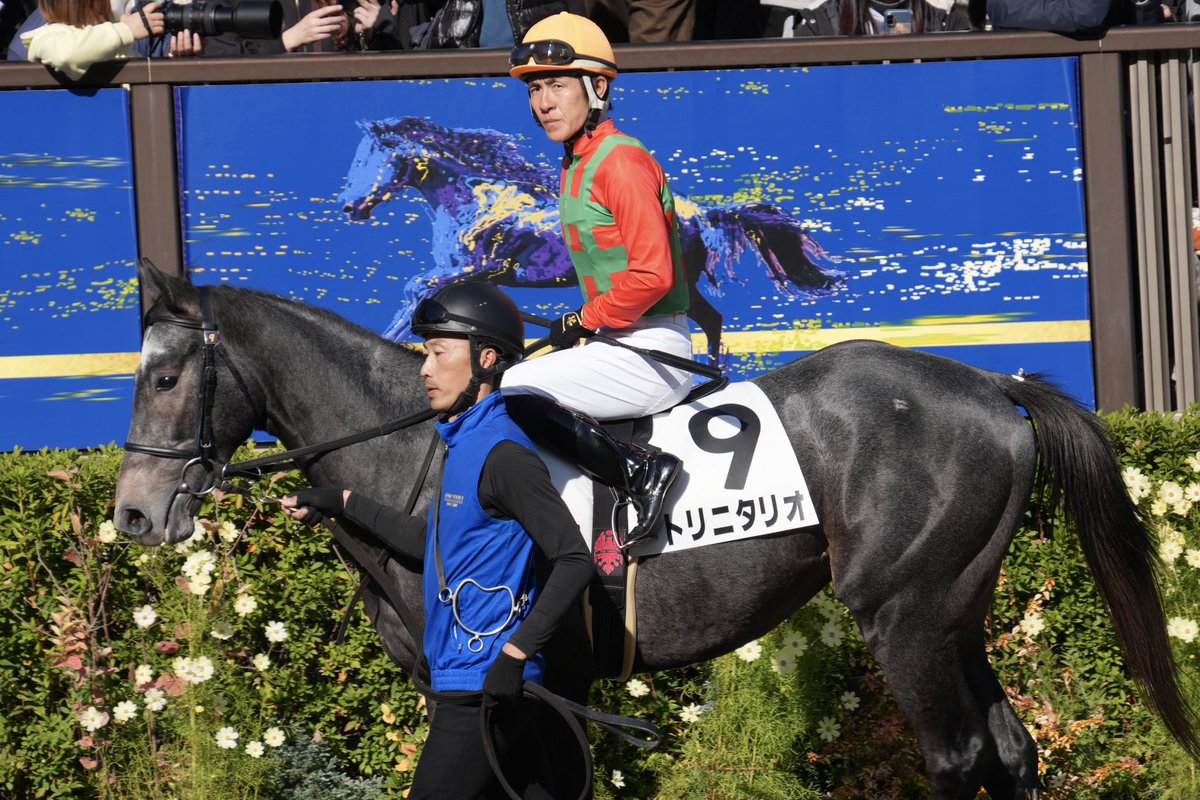 2025.11.30 #東京競馬場 東京6R 2歳新馬 #トリニタリオ くん #丹内祐次