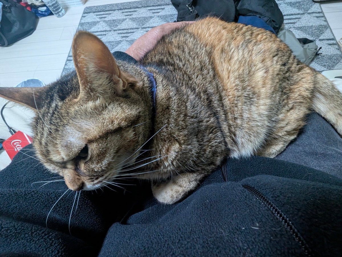 寒くなるとここに来る…
まぁ、暑い時に来られても嫌だけど…(笑)