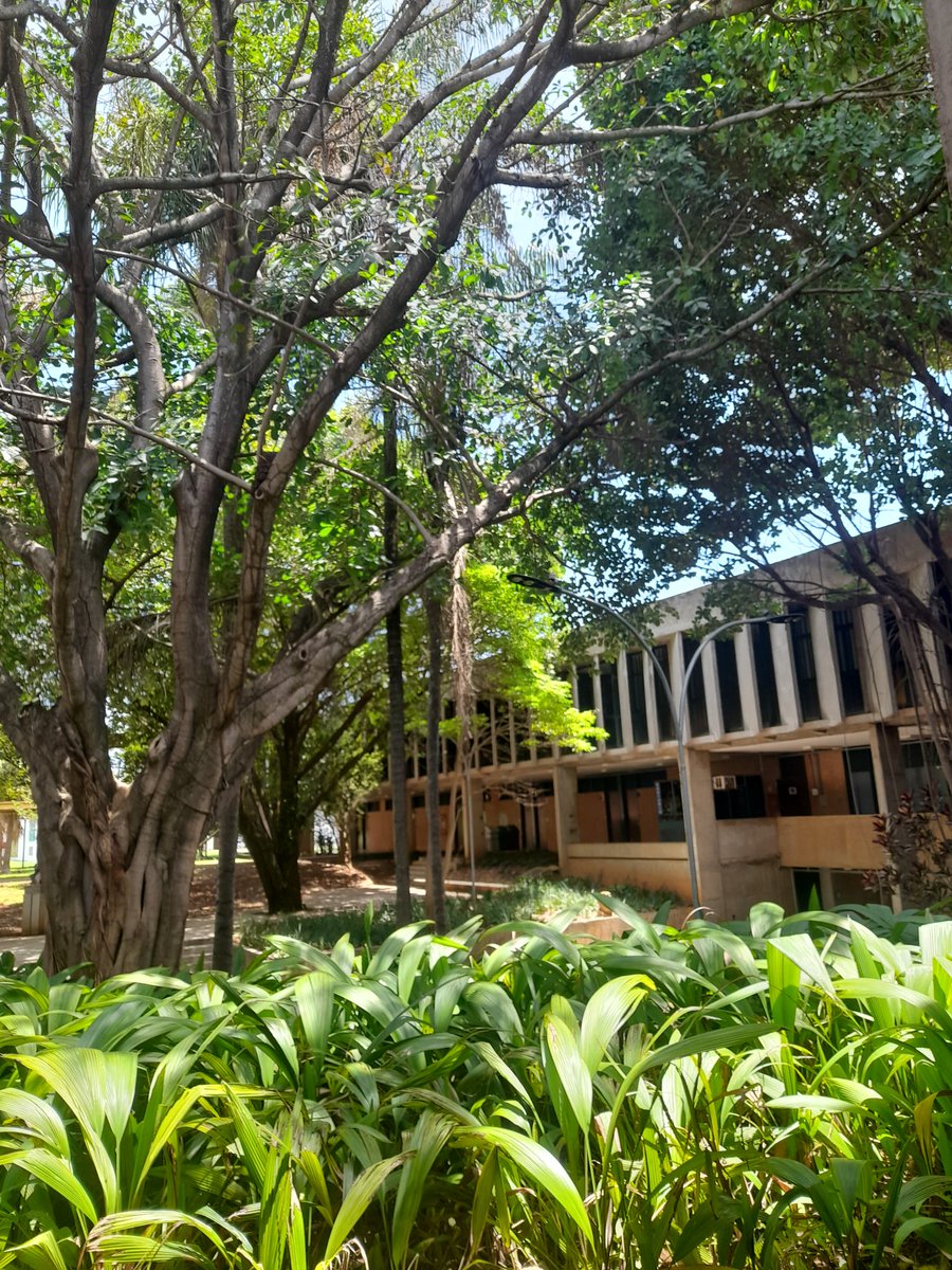 "Depois do medo vem o mundo"