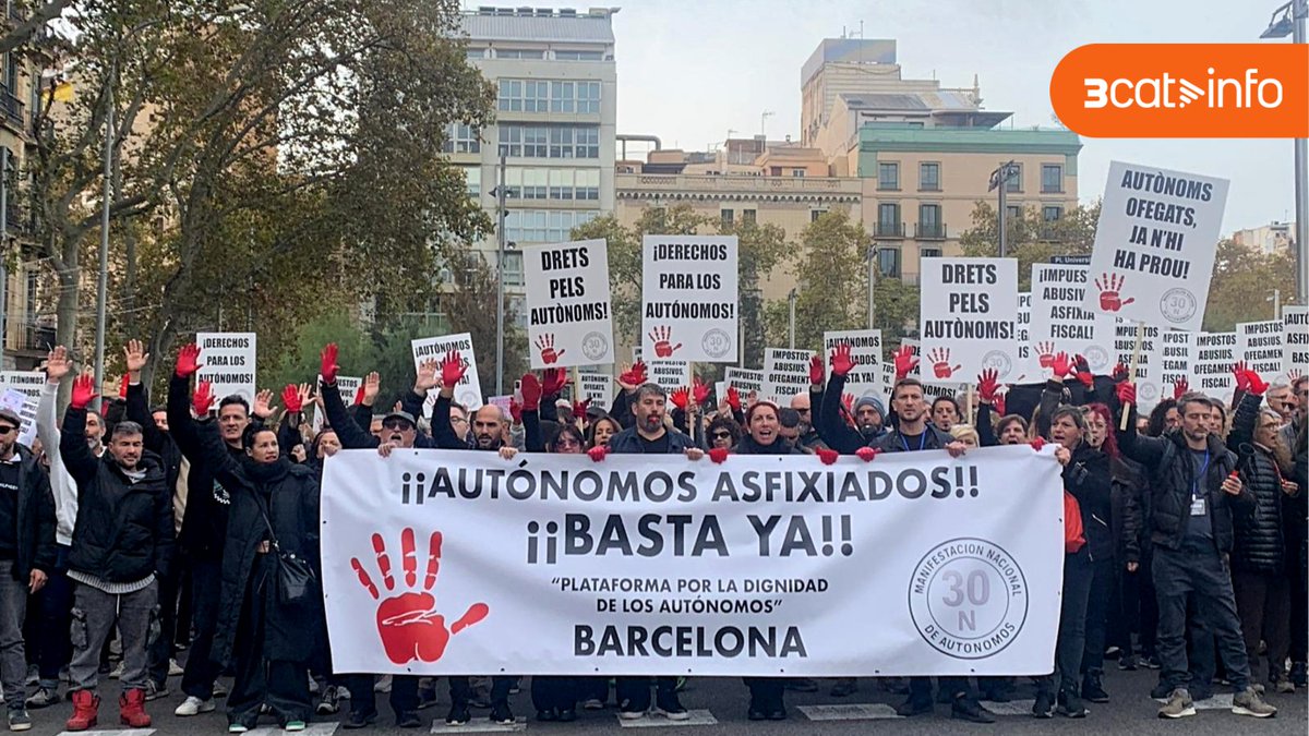 3CatInfo tweet media