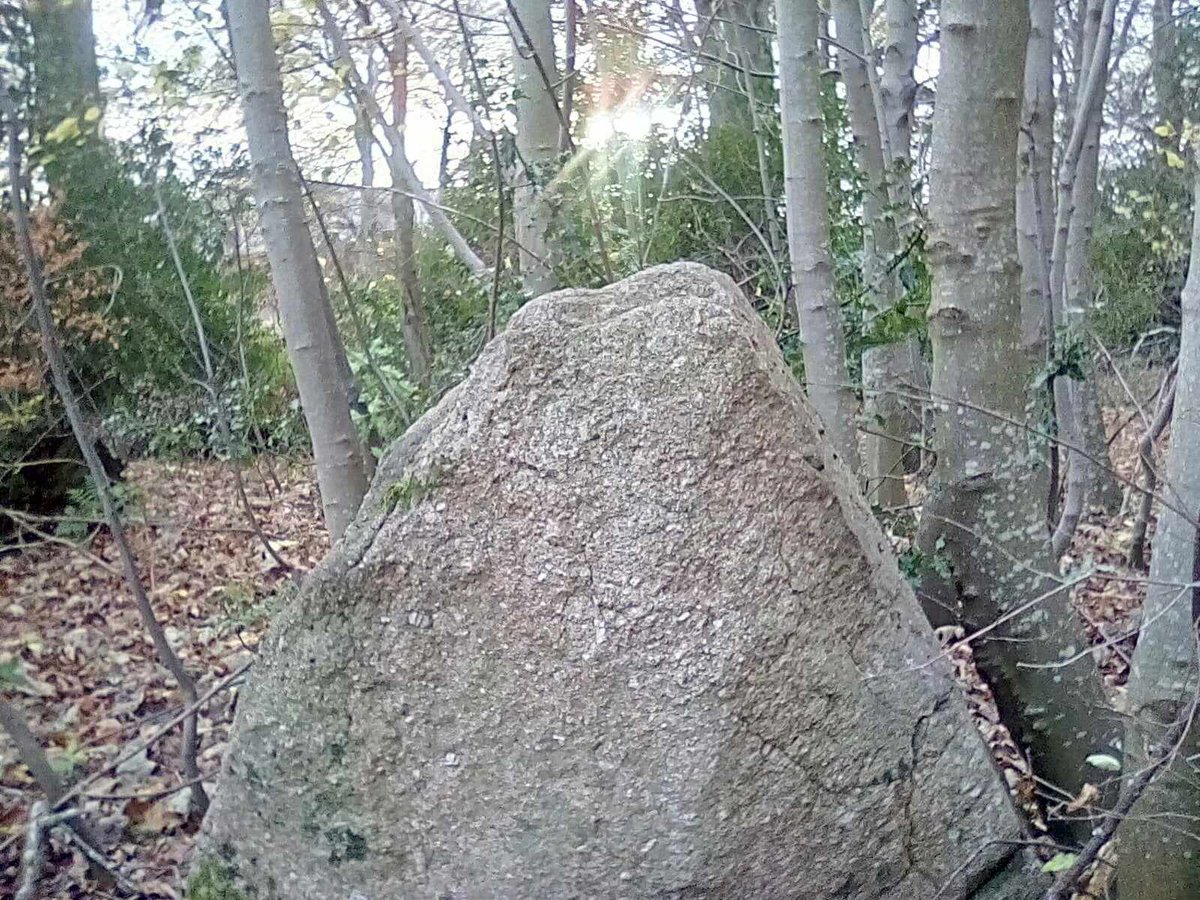 DavidRoger1951's tweet image. Auldearn stone row - the &quot;notch&quot; aligned to the setting sun? 🌄

#StandingStoneSunday
#AlphabetChallenge  #WeekVforVowels