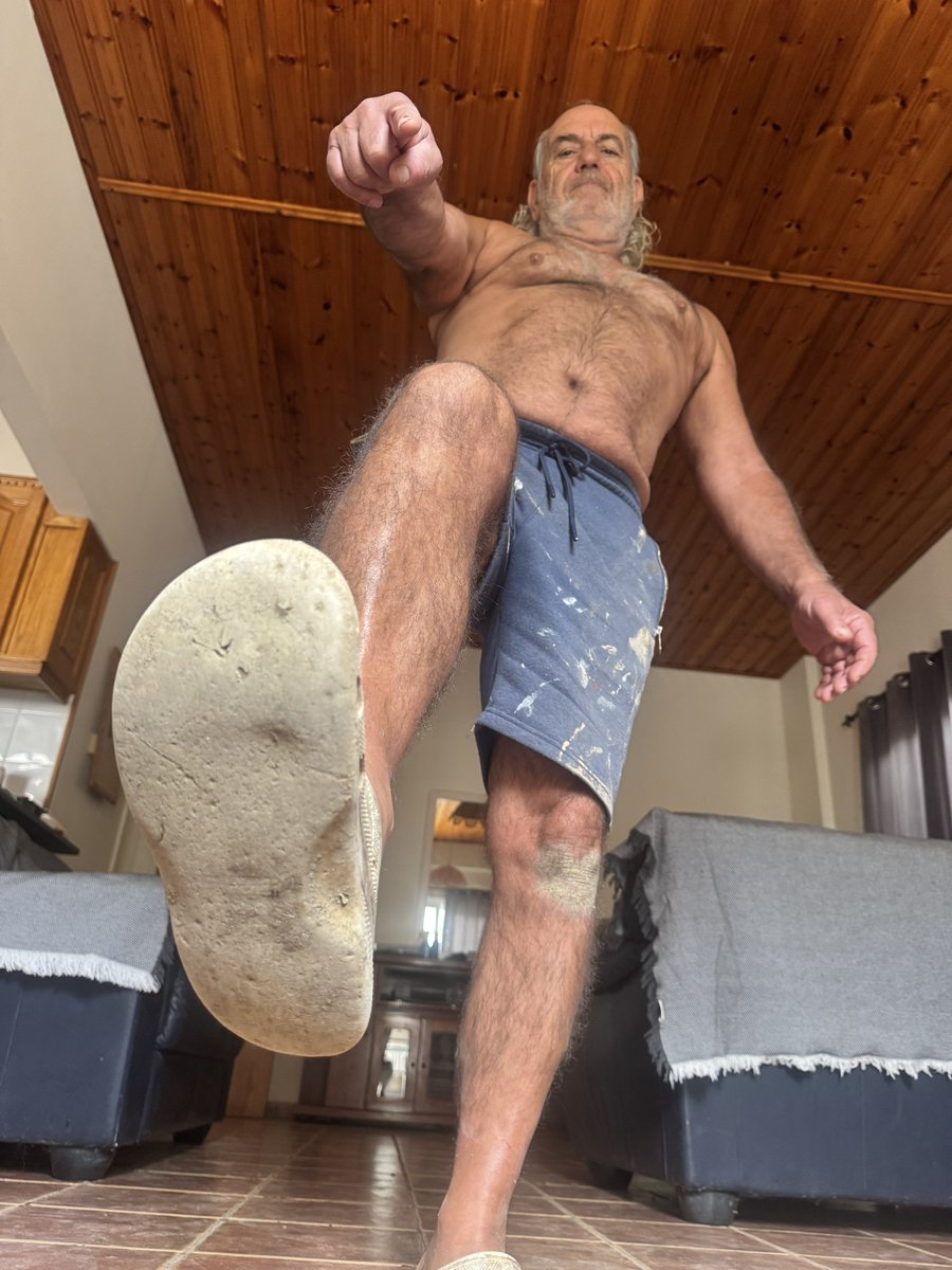 Alpha Stallion tweet media