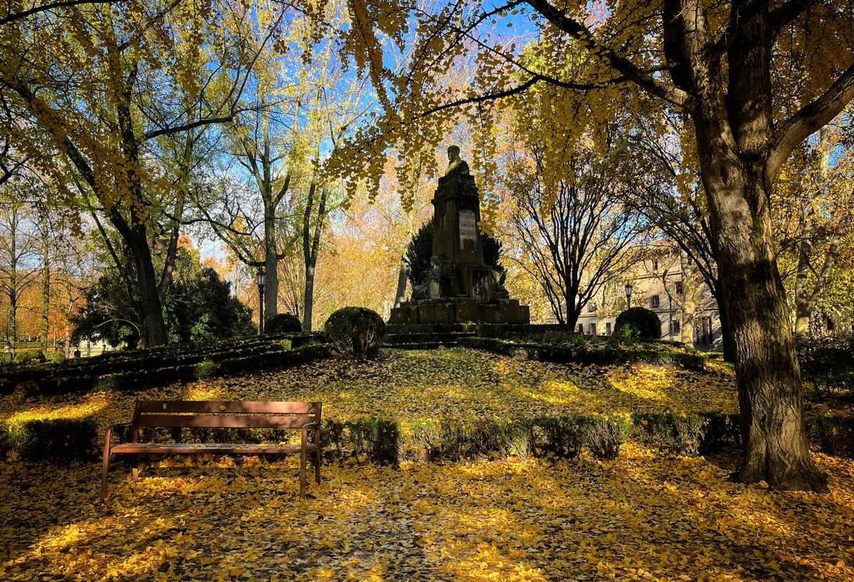 Como cada otoño, las hojas de los #ginkgos visten de amarillo este rincón del Parque de la Taconera de #Pamplona.