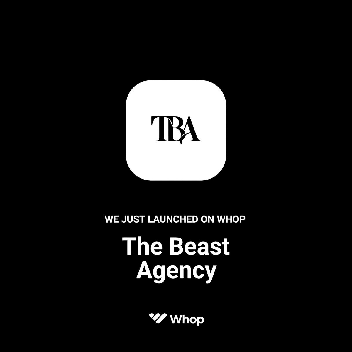 🚨 ATTENTION BUSINESS OWNERS

Your competitors are levelling up — are you?

Join The Beast Agency on Whop and let’s change the game.

#BusinessOwners #ScaleWithAI #WhopLaunch
