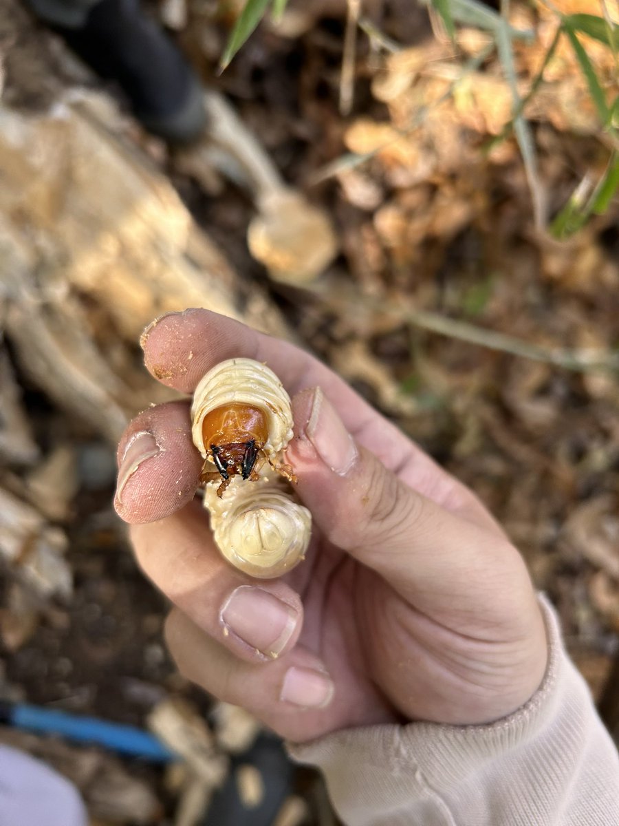 女女ふざけ‼️