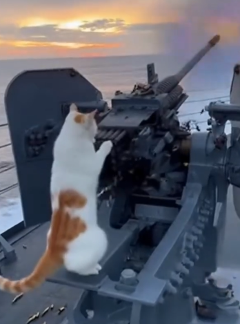 Jerold Camacho tweet media