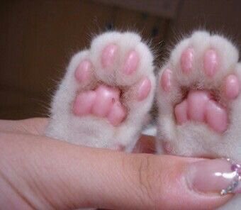 ming9ooo's tweet image. 💕💗💖💓💞💝💘🌸🌷🎀🌺🩷👛