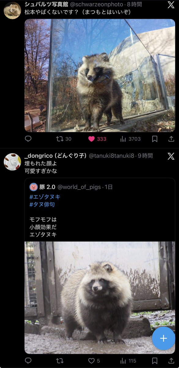 たぬ@たぬ活兼クリエーター活動準備 (@amolat747) / Posts / X