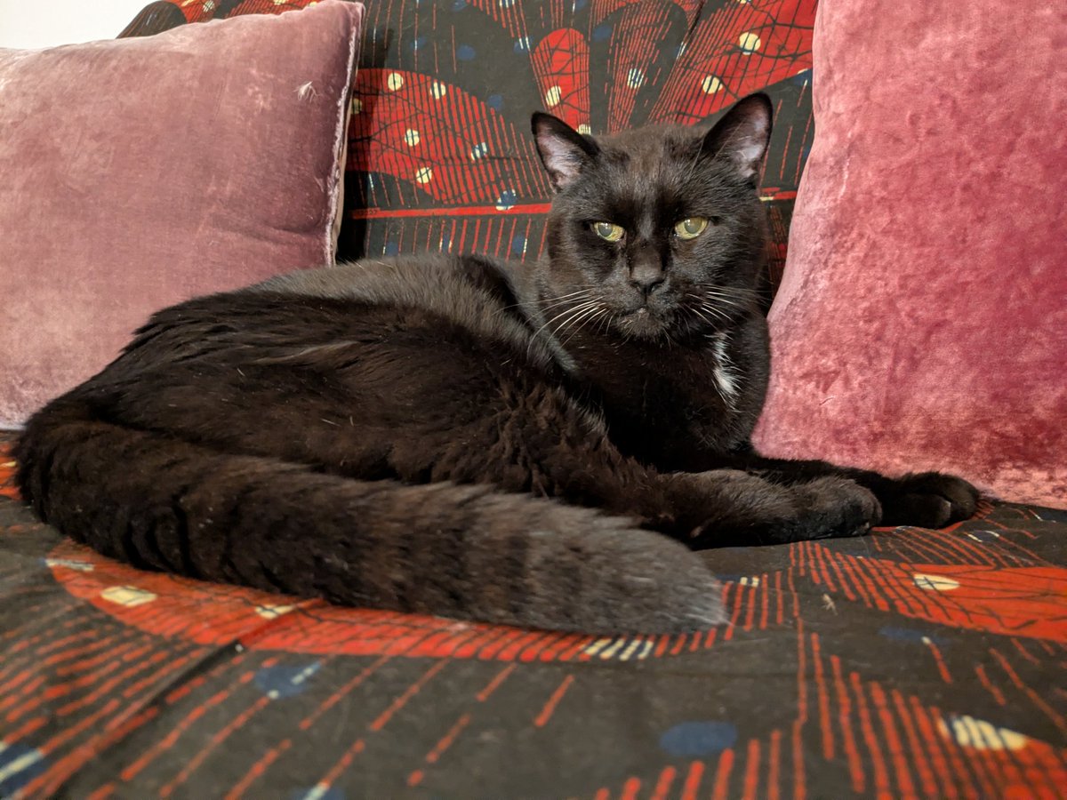 Stéphanie Migniot tweet media