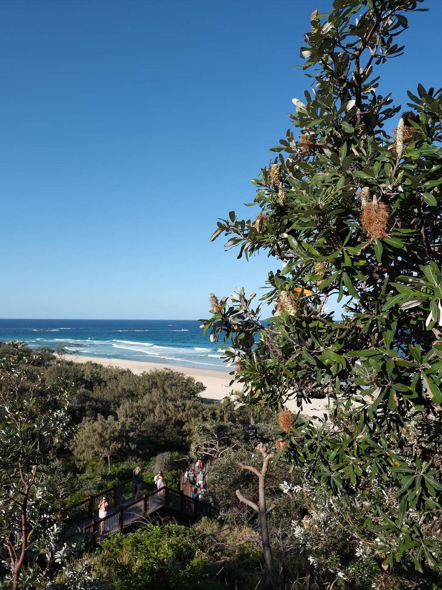 North Stradbroke Island tweet media