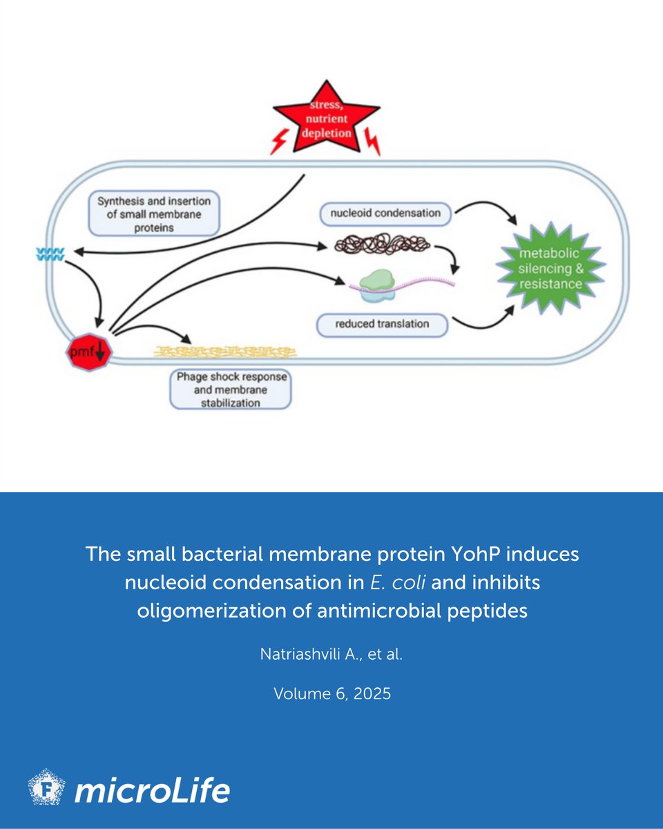 microLife tweet media
