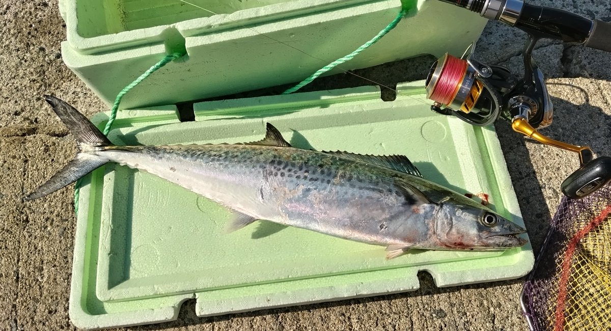 海坊主 (@UmibozuABU) / Posts / X