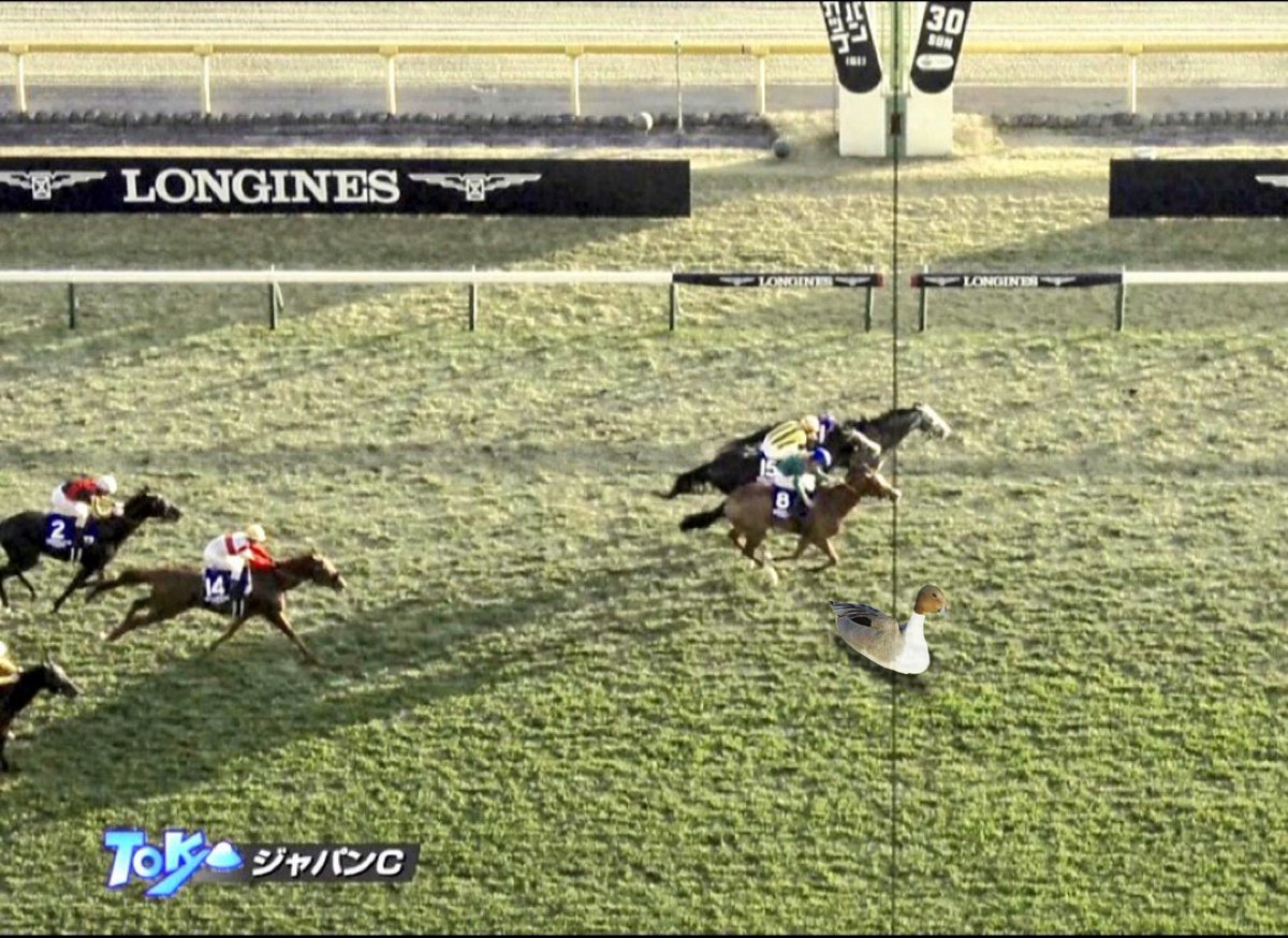 ちょこざい (@Z7ZX001) / Posts / X