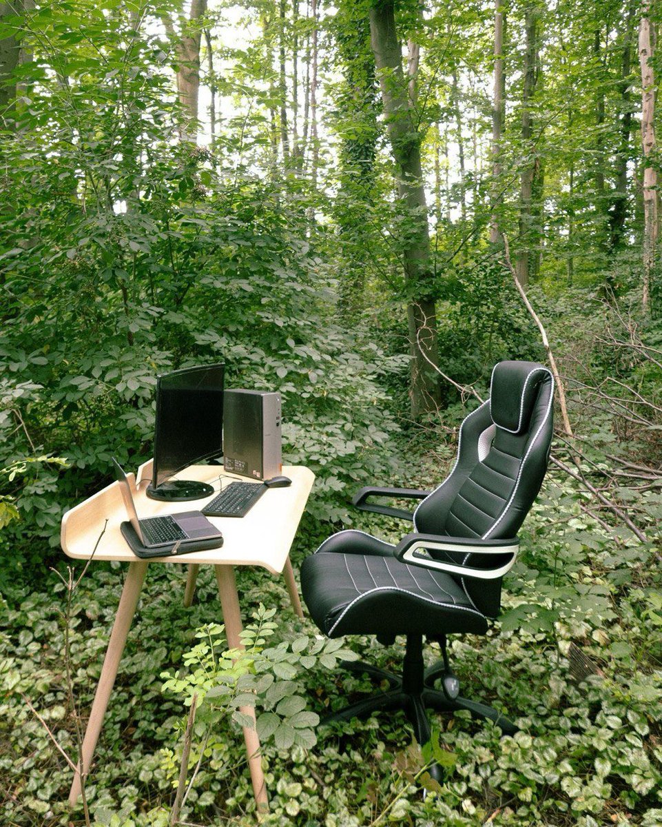 Maitreyn tweet media