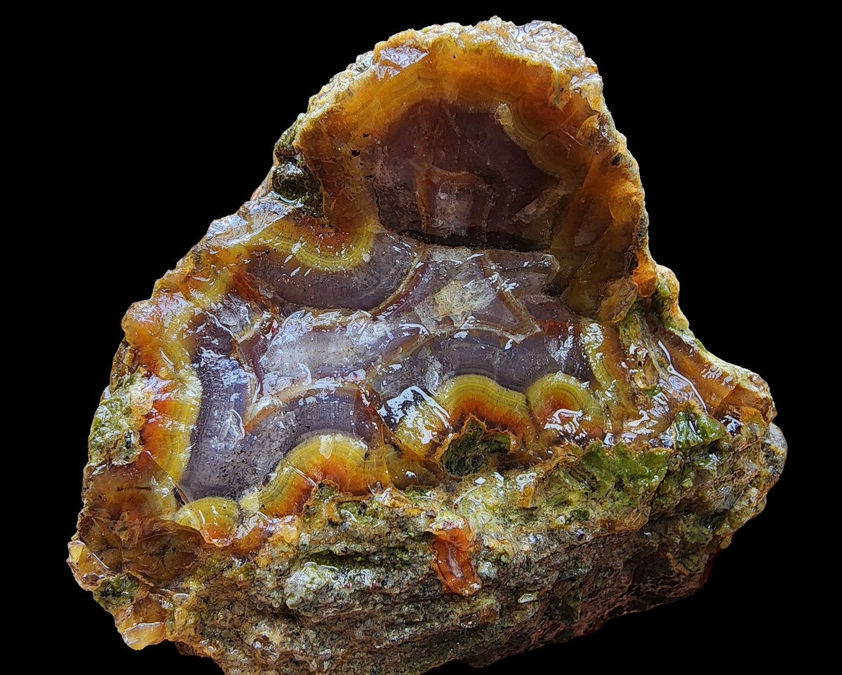 SrlGemstone's tweet image. Limb cast - agatized #Fossil  wood