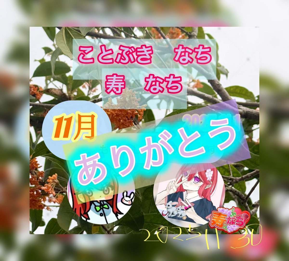 11月もありがとう╰(*´︶`*)╯ 12月もよろしくお願いします🐇 #感謝