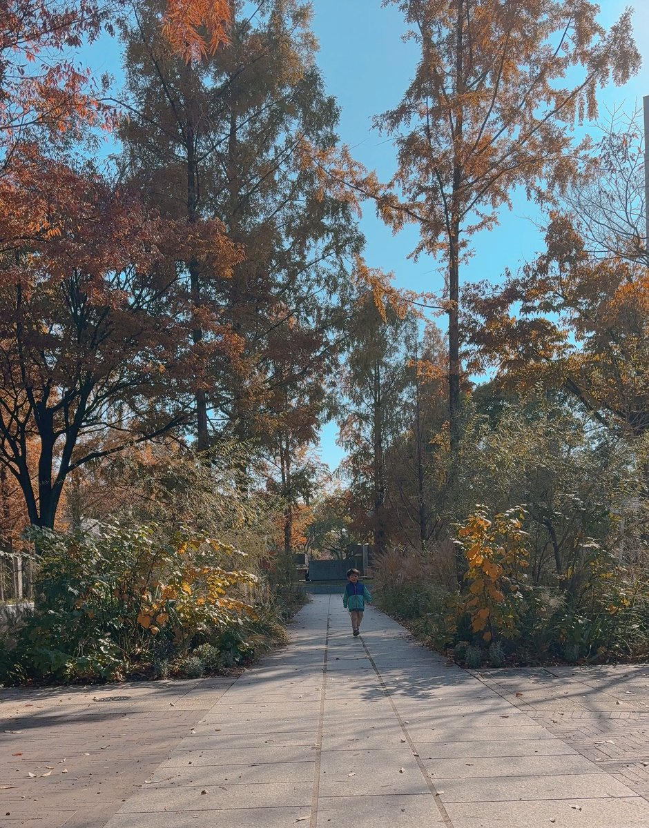 まりまり☺︎R4.11.3👶🏻🦖 (@3sxmxi) / Posts / X