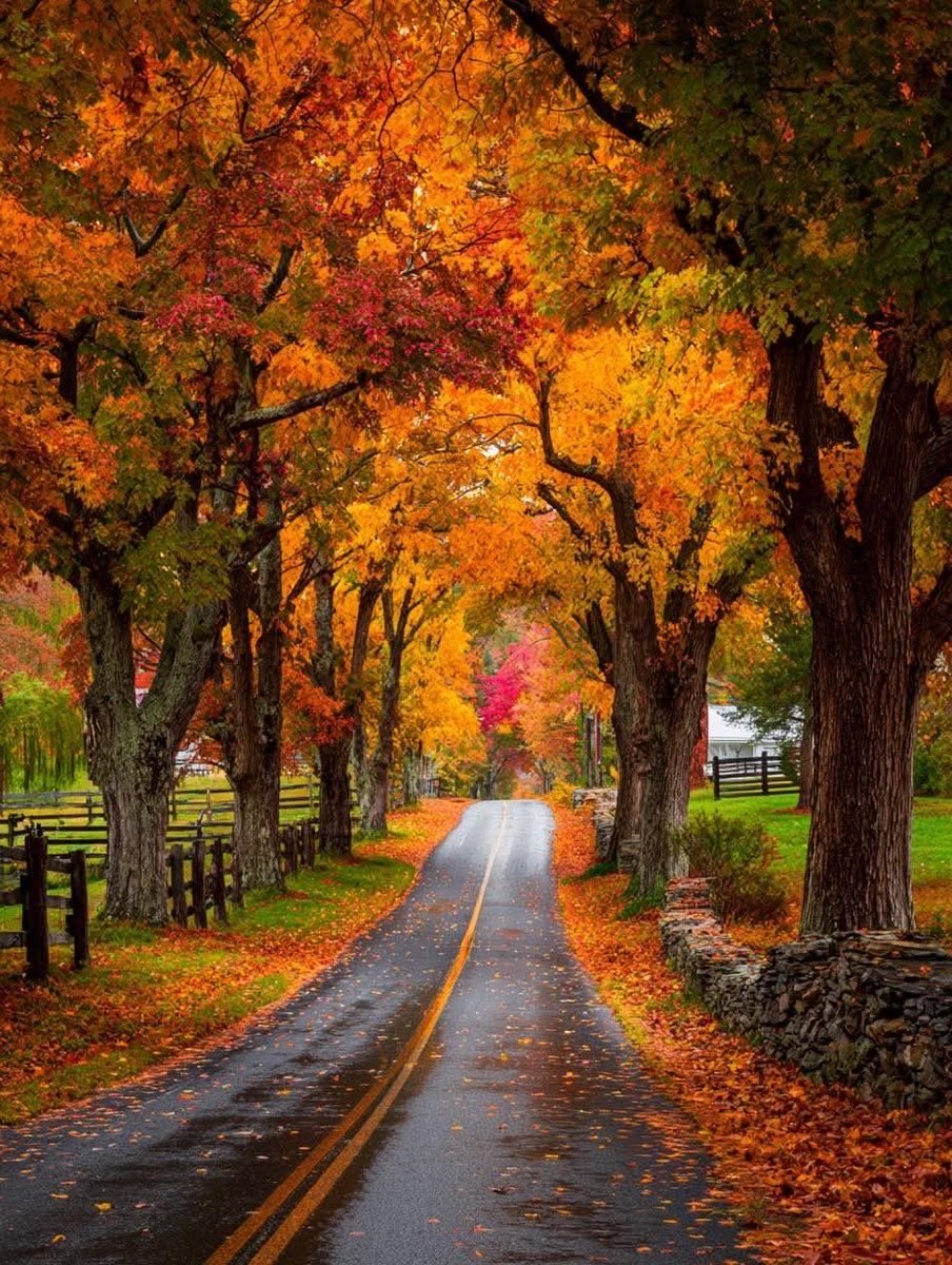 jaingurug's tweet image. #NatureMagic #NaturistLifestyle #sundayvibes #WeekendVibes