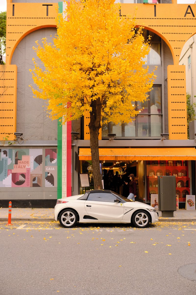 web3stu's tweet image. autumn days in the city.

gseoul 🍁