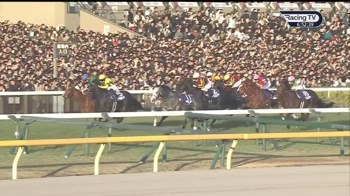 CADHIAS (@CADHIAS1) / Posts / X