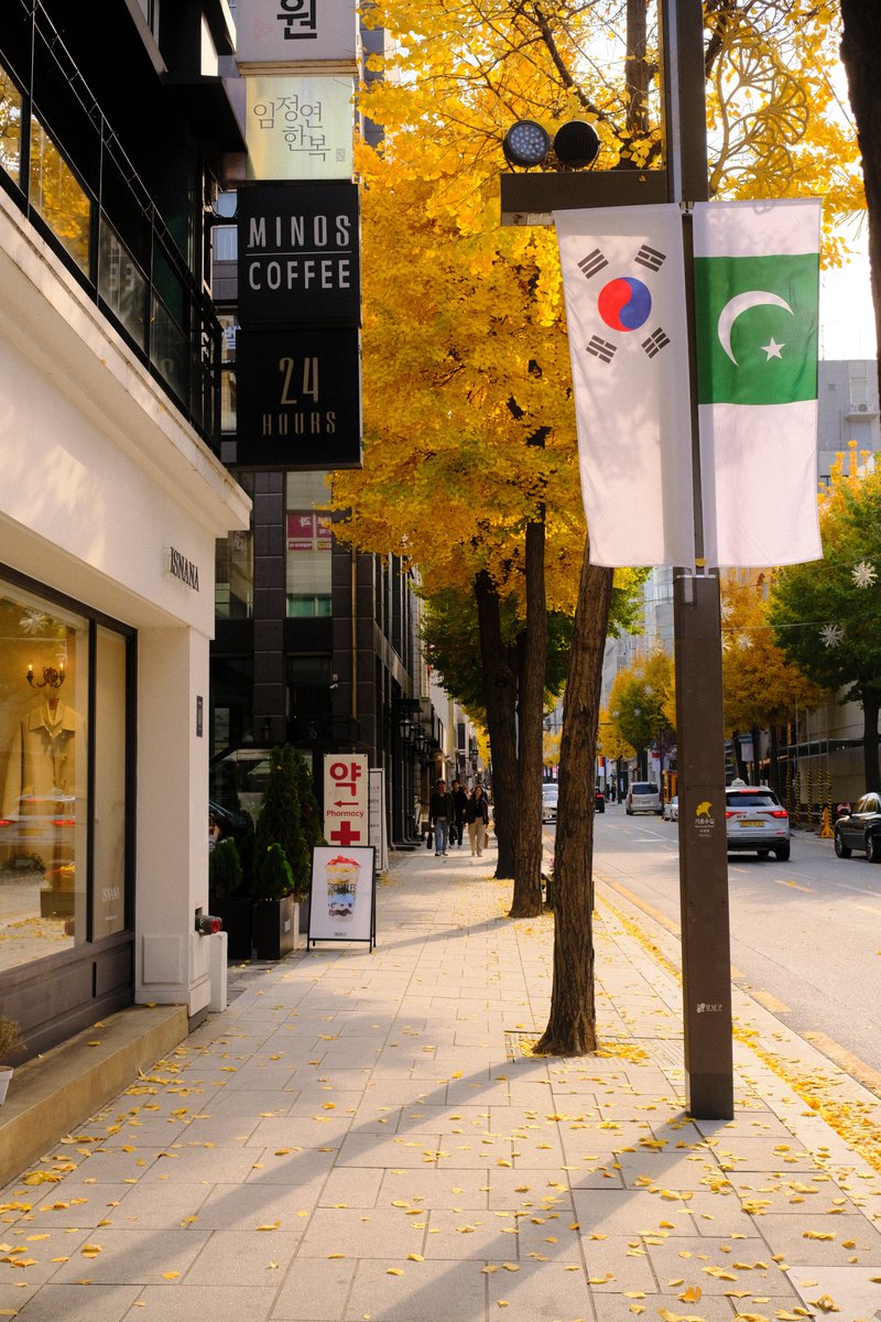 web3stu's tweet image. autumn days in the city.

gseoul 🍁
