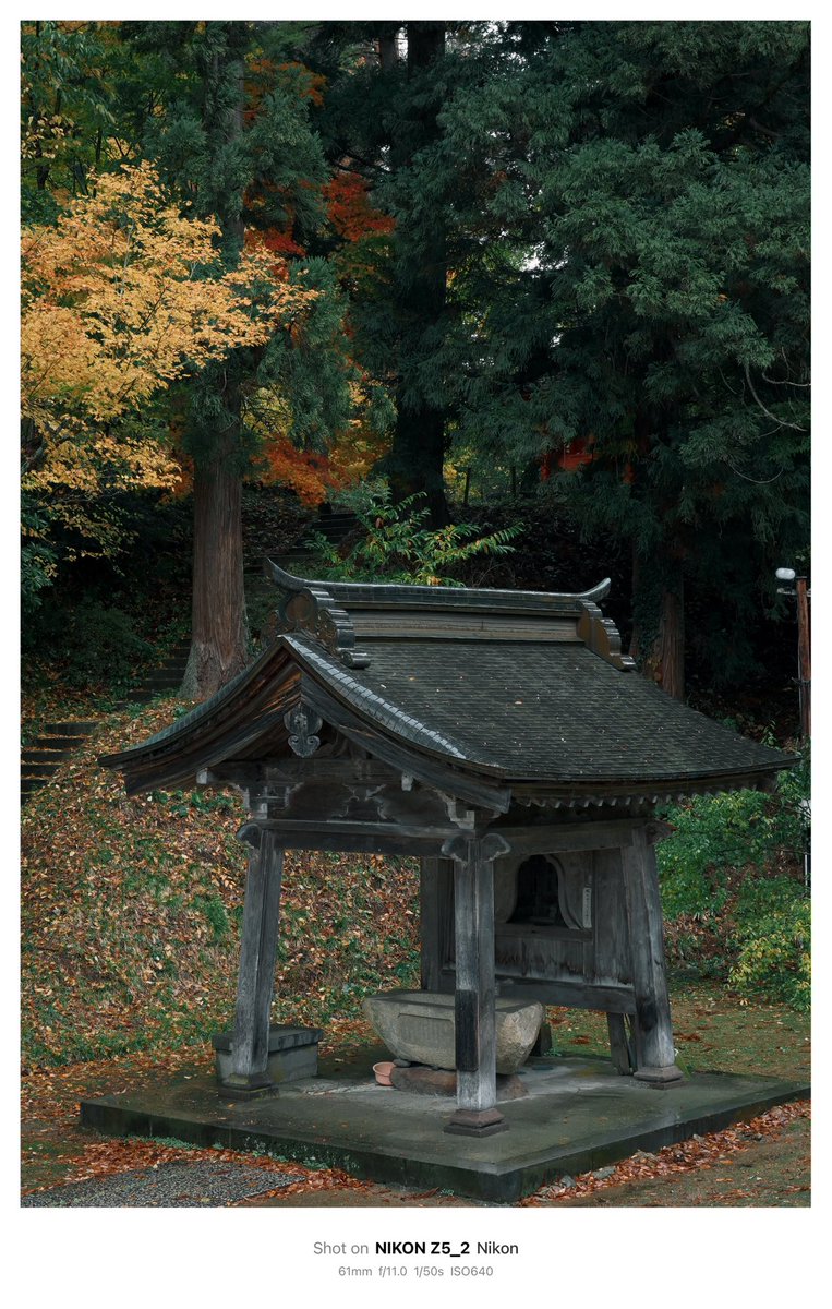 りん (@ringoame0922) / Posts / X