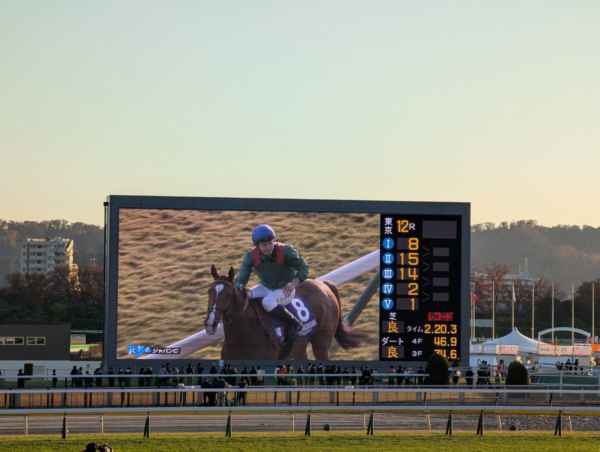 いいレースでした