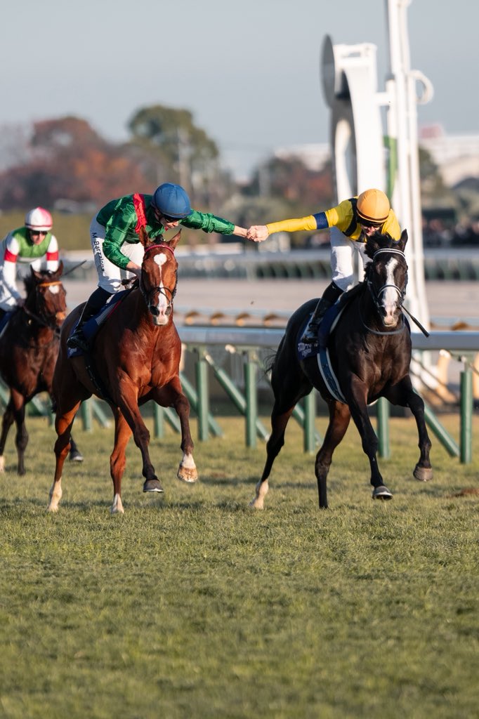 合馬 マスカレードボール🏇 2025.2.16 東京競馬 11R 共同通信杯 1着