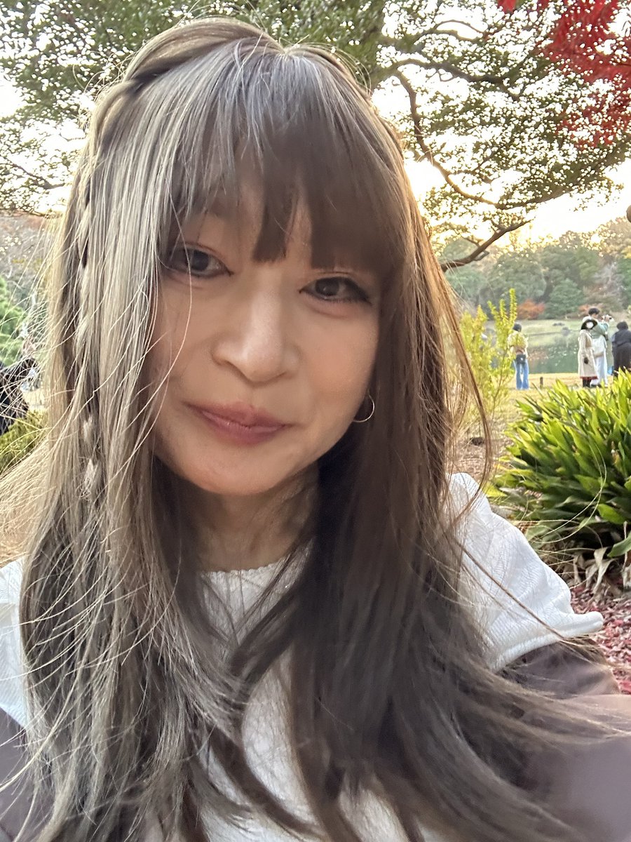 みどりページ みどり♂ (@midori_cabbage) / Posts / X